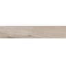 Gạch viglacera CA10-GK15901 4