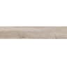 Gạch viglacera CA10-GK15901 2