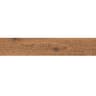 Gạch viglacera CA10-GK15903 2