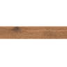 Gạch viglacera CA10-GK15903 4