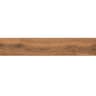 Gạch viglacera CA10-GK15903 3