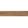 Gạch viglacera CA10-GK15905 3