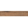 Gạch viglacera CA10-GK15905 4