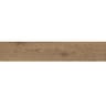Gạch viglacera CA10-GK15906 1