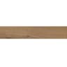 Gạch viglacera CA10-GK15906 2