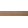 Gạch viglacera CA10-GK15906 3
