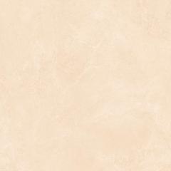 Ảnh Gạch viglacera CA2-GM6603 4