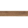 Gạch viglacera CA9-GK15903 2