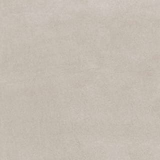 Ảnh Gạch Viglacera FL10-GM8801 2