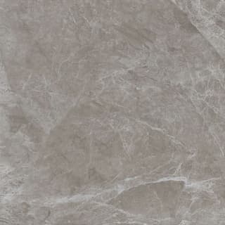 Ảnh Gạch Viglacera FL4-GP8803 1