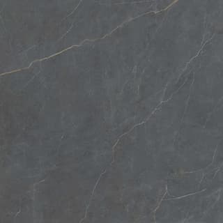 Ảnh Gạch Viglacera FL6-GP8801 1