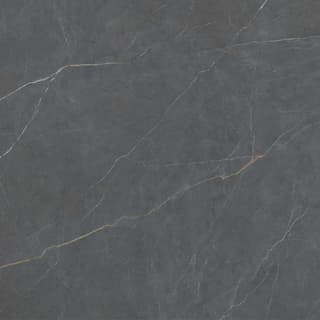 Ảnh Gạch Viglacera FL6-GP8801 3