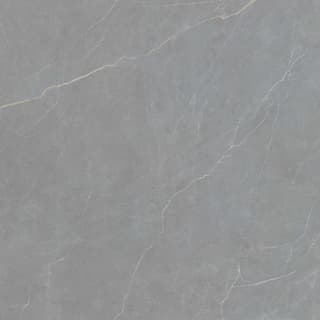 Ảnh Gạch Viglacera FL6-GP8802 1