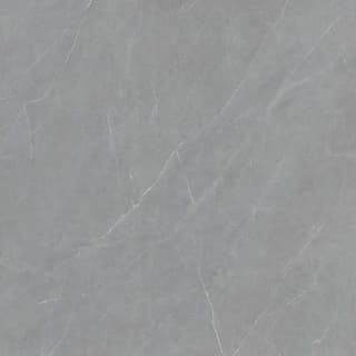 Ảnh Gạch Viglacera FL6-GP8802 2