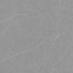 Ảnh Gạch Viglacera FL6-GP8802 3