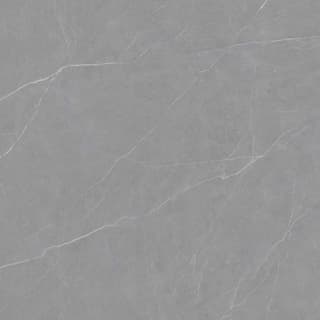 Ảnh Gạch Viglacera FL6-GP8802 3