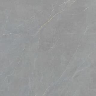 Ảnh Gạch Viglacera FL6-GP8802 4