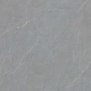 Ảnh Gạch Viglacera FL6-GP8802 5