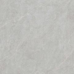 Ảnh Gạch Viglacera FL6-GP8803 1