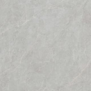 Ảnh Gạch Viglacera FL6-GP8803 1