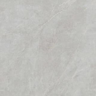 Ảnh Gạch Viglacera FL6-GP8803 2