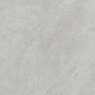 Ảnh Gạch Viglacera FL6-GP8803 3