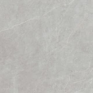 Ảnh Gạch Viglacera FL6-GP8803 4