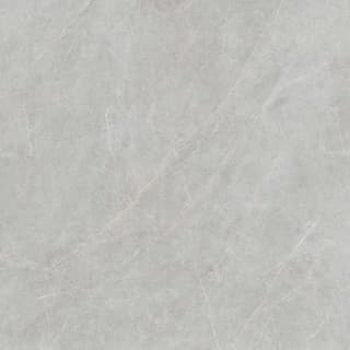 Ảnh Gạch Viglacera FL6-GP8803 5