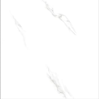 Ảnh Gạch Viglacera FL6-GP8804 2