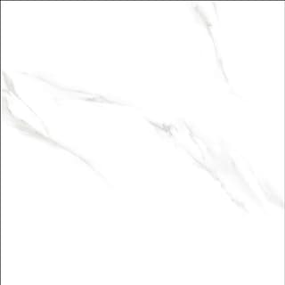 Ảnh Gạch Viglacera FL6-GP8804 5