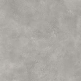 Ảnh Gạch Viglacera FL8-GM8801 1