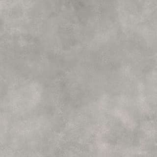 Ảnh Gạch Viglacera FL8-GM8801 2