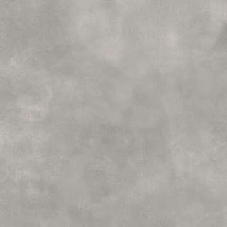 Ảnh Gạch Viglacera FL8-GM8801 3