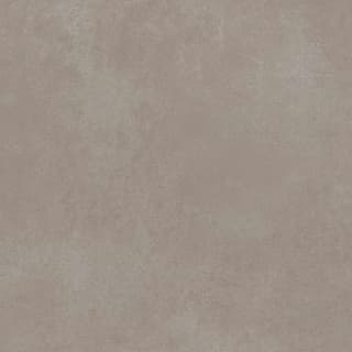 Ảnh Gạch Viglacera FL9-GM8801 1