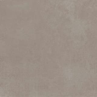 Ảnh Gạch Viglacera FL9-GM8801 3