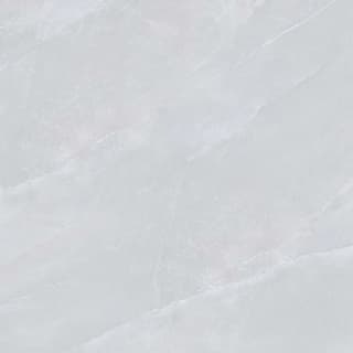 Ảnh Gạch Viglacera NY1-GP8801 1