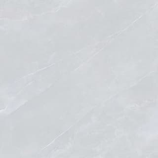 Ảnh Gạch Viglacera NY1-GP8801 4