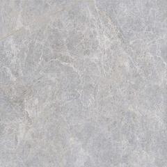 Ảnh Gạch Viglacera NY17-GP8802 1