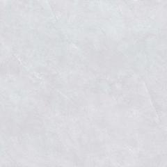 Ảnh Gạch Viglacera NY20-GP8801 4