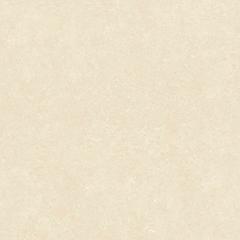 Ảnh Gạch Đồng Tâm 6060VAMCOTAY004 3