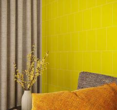 Ảnh Gạch Đồng Tâm 1020COLOUR006 2