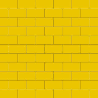 Ảnh Gạch Đồng Tâm 1020COLOUR006 1