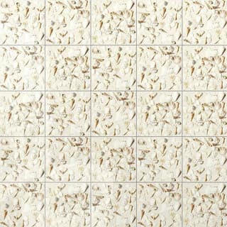 Gạch Đồng Tâm 2020MARINA003