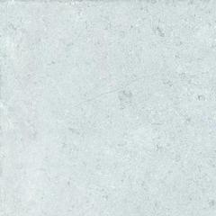 Ảnh Gạch Đồng Tâm 4040GECKO005 4