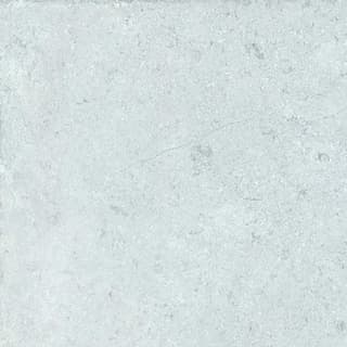 Ảnh Gạch Đồng Tâm 4040GECKO005 4