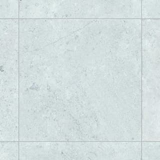 Ảnh Gạch Đồng Tâm 4040GECKO005 2