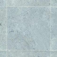 Ảnh Gạch Đồng Tâm 4040GECKO006 2