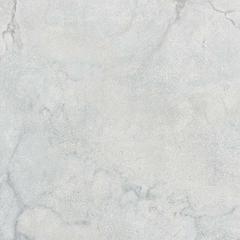 Ảnh Gạch Đồng Tâm 4040GECKO007 4