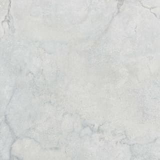 Ảnh Gạch Đồng Tâm 4040GECKO007 4