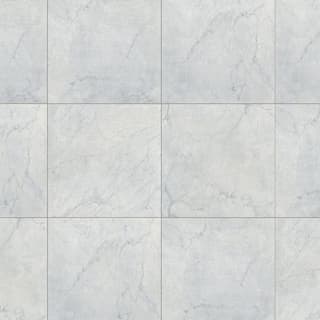 Ảnh Gạch Đồng Tâm 4040GECKO007 1